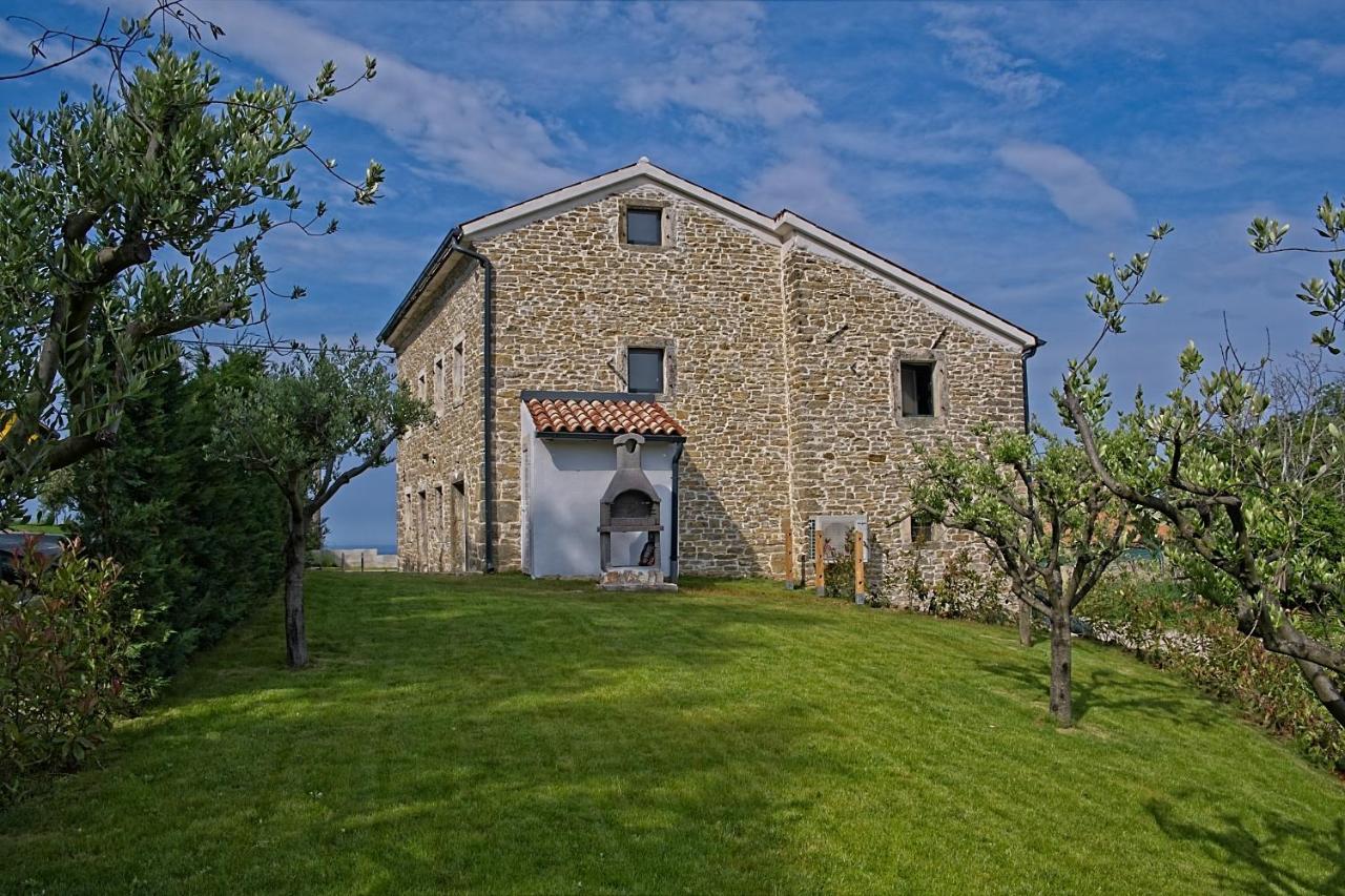 Villa Carica Krasica  Buitenkant foto